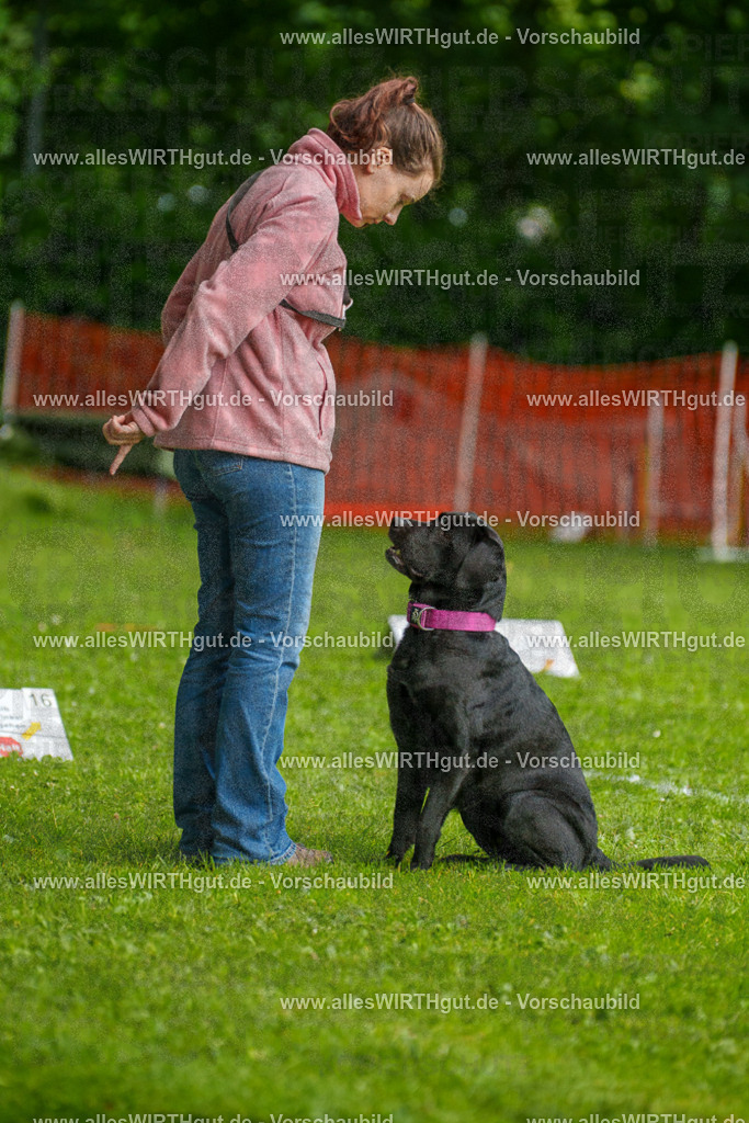 @allesWIRTHgut_Tierfotografie - www.allesWIRTHgut.de - 7R503143 | Professionelle Tierfotografie in Mönchengladbach von Daniel Wirth (allesWIRTHgut). Liebevolle & natürliche Bilder von Hunden & Katzen für unvergessliche Erinnerungen.