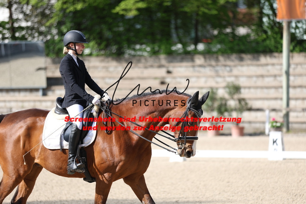 A40A3622 | lmwpictures - Realisiert mit Pictrs.com