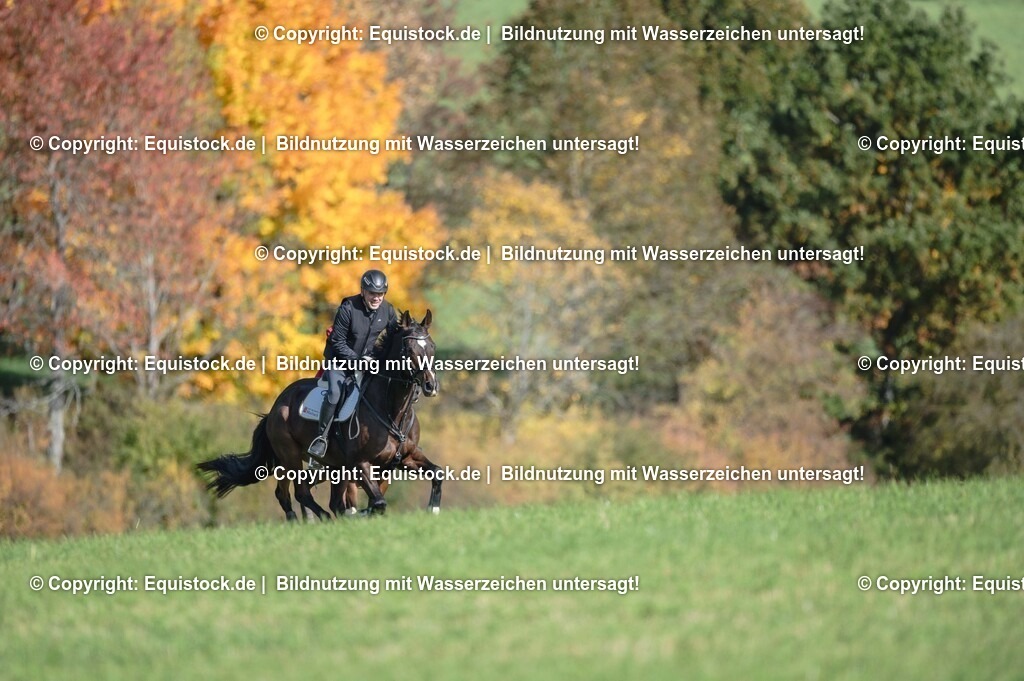 20251011_Jagd-Marbach_0335 | Foto: Thomas Hartig
