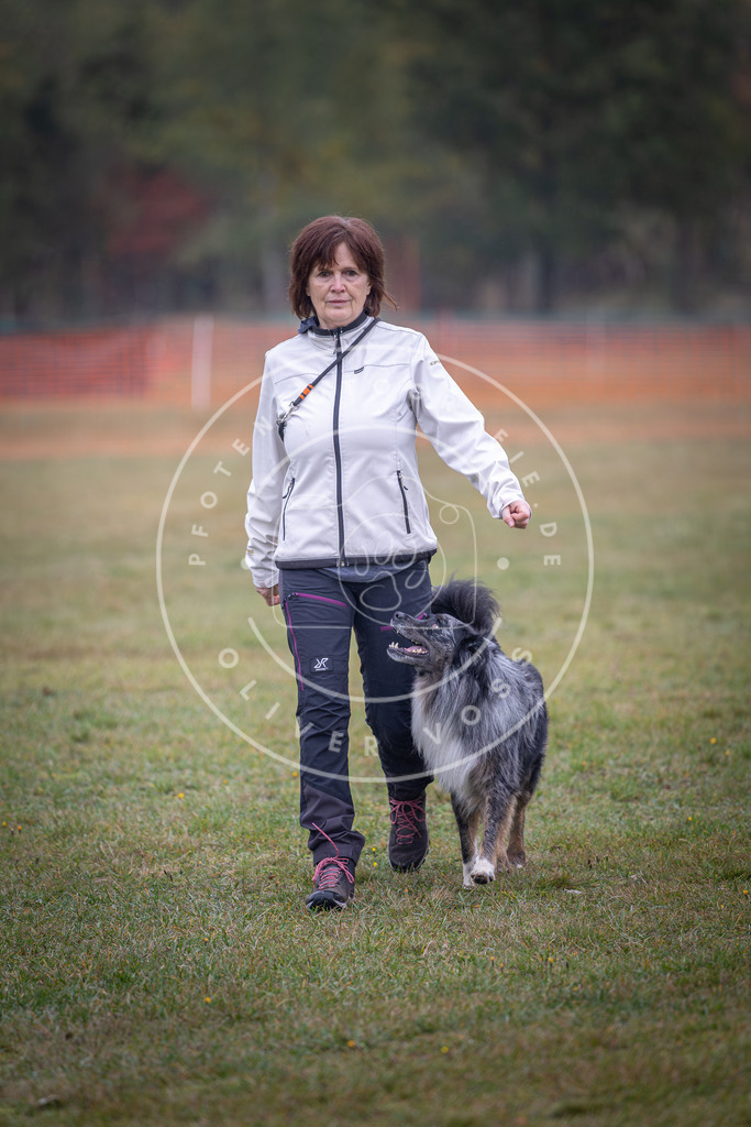 Pfotenfotografie_DV3A8979 | Hundefotografie, Tierfotograf, Pfotenfotografie, Fotoshooting Hund, Hunde Portrait, Hundesport, Hundeportraits, Heideshooting, Hunde, Sportfotograf, Hundefotograf, Turnierhundsport, THS,  - Realisiert mit Pictrs.com