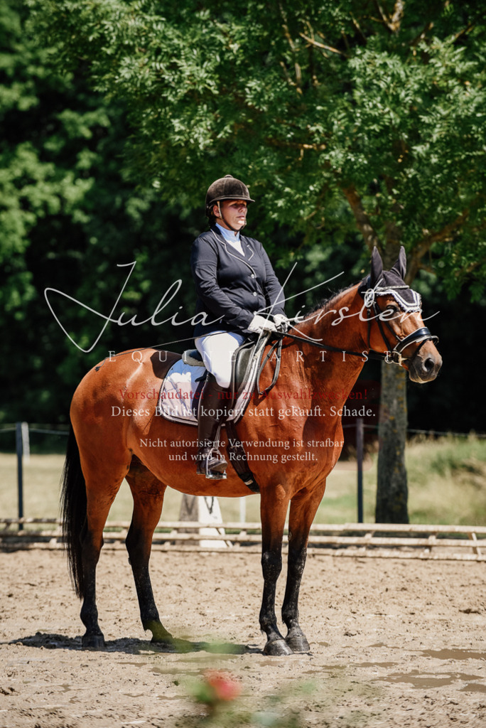 DSC_1982 | Pferde- und Turnierfotografie in Westsachsen. Pferdeportraits, Auftragszeichnungen und intuitive Kunst.