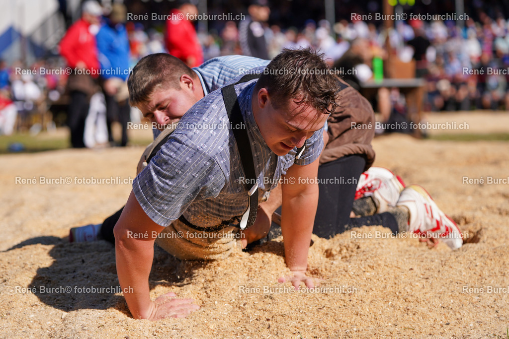 DSC09271 | René Burch leidenschaftlicher Fotograf aus Kerns in Obwalden.  Hier finden sie Sport, Landschaft und Natur Fotografie.
 - Realisiert mit Pictrs.com