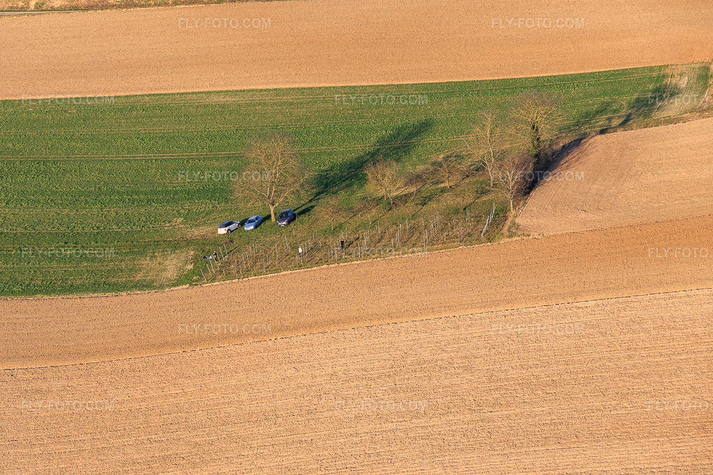 Aerial view: The smallest vineyard in Alsace in Niederlauterbach in the state Bas-Rhin, France. – Photo: IMG_130974.jpg taken on 03/22/2022 by Werner Riehm/FLY-FOTO.com – Resolution of the original: 5472 x 3648 px