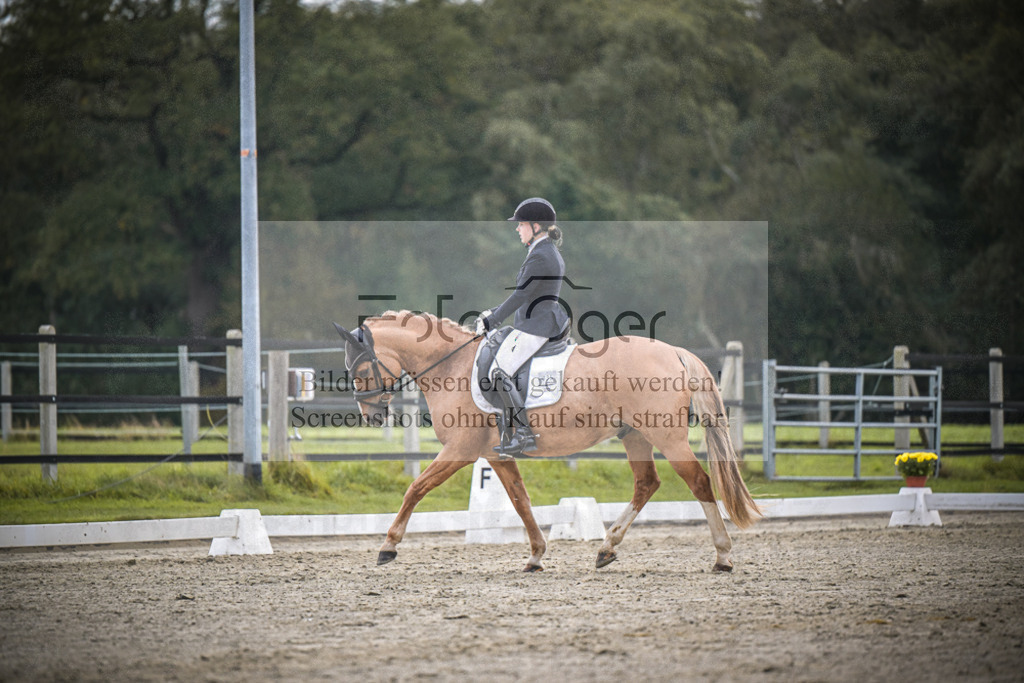 DOS_2023 | Entdecke hochwertige Reitturnierfotos von Foto Oger. Professionell, emotional und authentisch – jetzt Lieblingsmomente im Shop bestellen.Deutschlandweite Turnierfotografie. - Realisiert mit Pictrs.com
