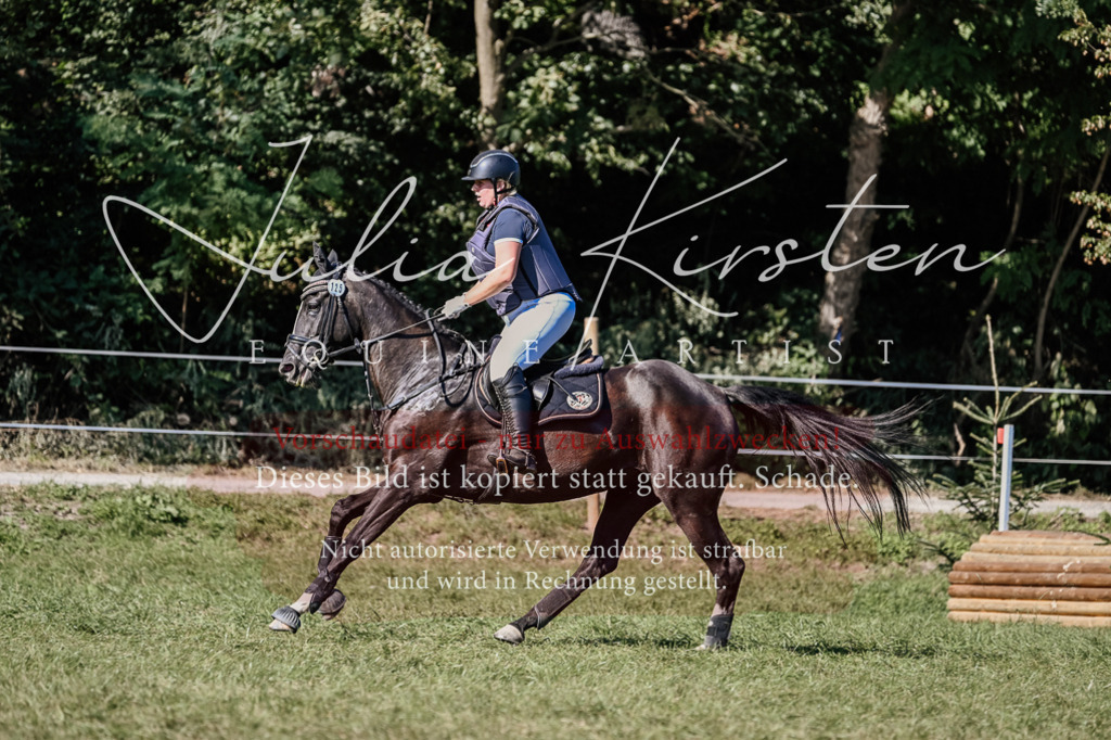 DSC_3342 | Pferde- und Turnierfotografie in Westsachsen. Pferdeportraits, Auftragszeichnungen und intuitive Kunst.