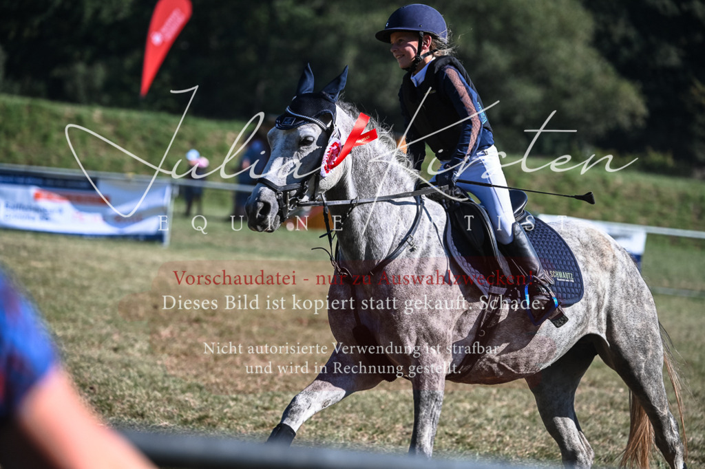 DSC_7043 | Pferde- und Turnierfotografie in Westsachsen. Pferdeportraits, Auftragszeichnungen und intuitive Kunst.