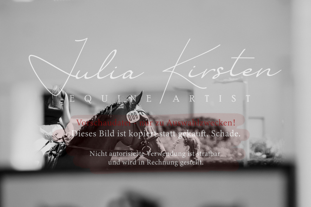DSC_0138 | Pferde- und Turnierfotografie in Westsachsen. Pferdeportraits, Auftragszeichnungen und intuitive Kunst.