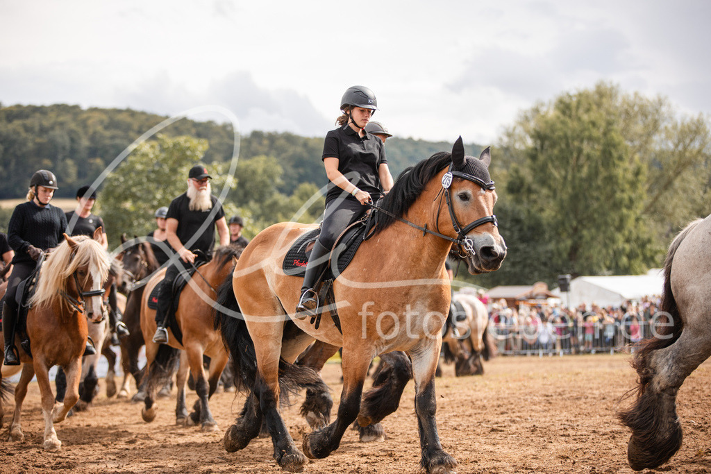 846A4032 | fotosleben - Realisiert mit Pictrs.com