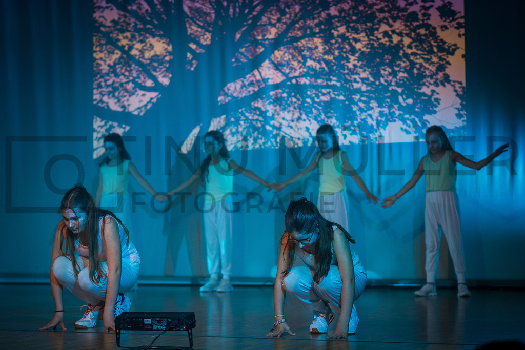 _DSC2266 | Tinu Müller Fotografie- Bildershop - Realisiert mit Pictrs.com