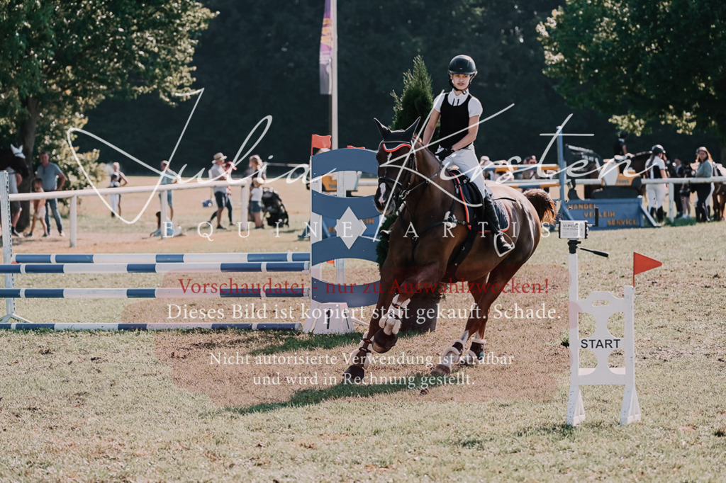 DSC_4875 | Pferde- und Turnierfotografie in Westsachsen. Pferdeportraits, Auftragszeichnungen und intuitive Kunst.