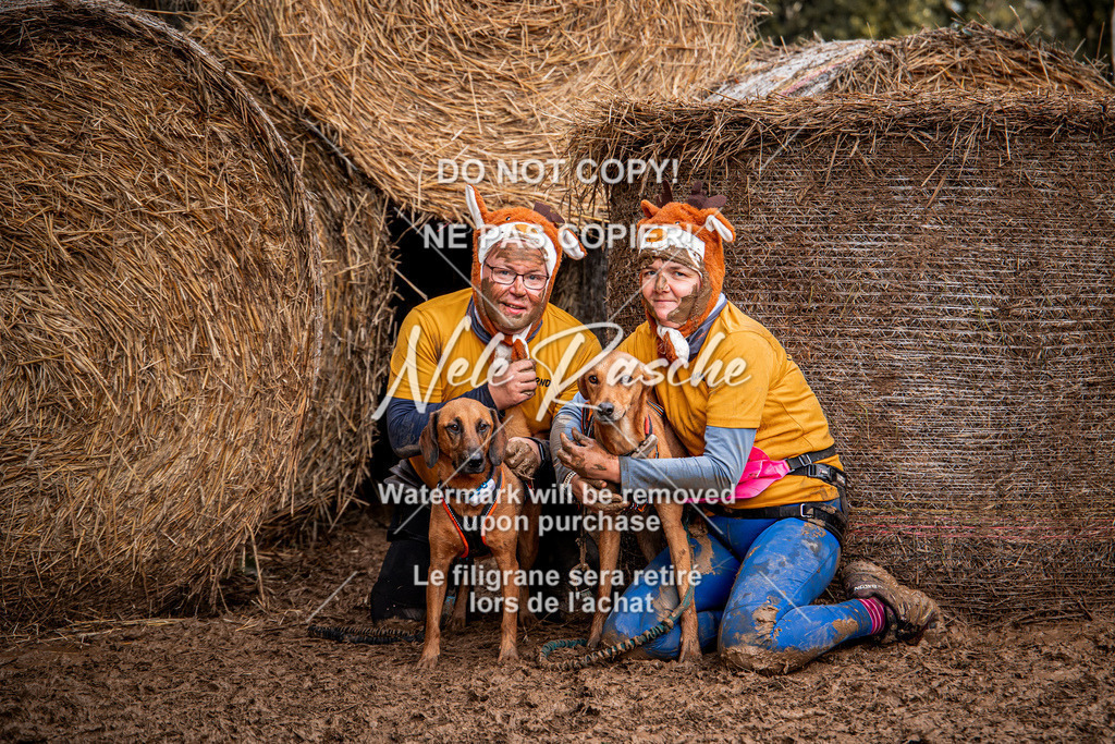 nelerasche_Hunsrück_So09-11_395 | nelerasche