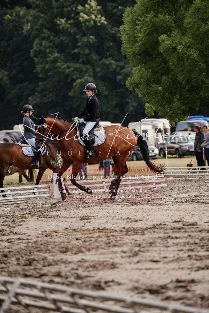DSC_8231 | Pferde- und Turnierfotografie in Westsachsen. Pferdeportraits, Auftragszeichnungen und intuitive Kunst.