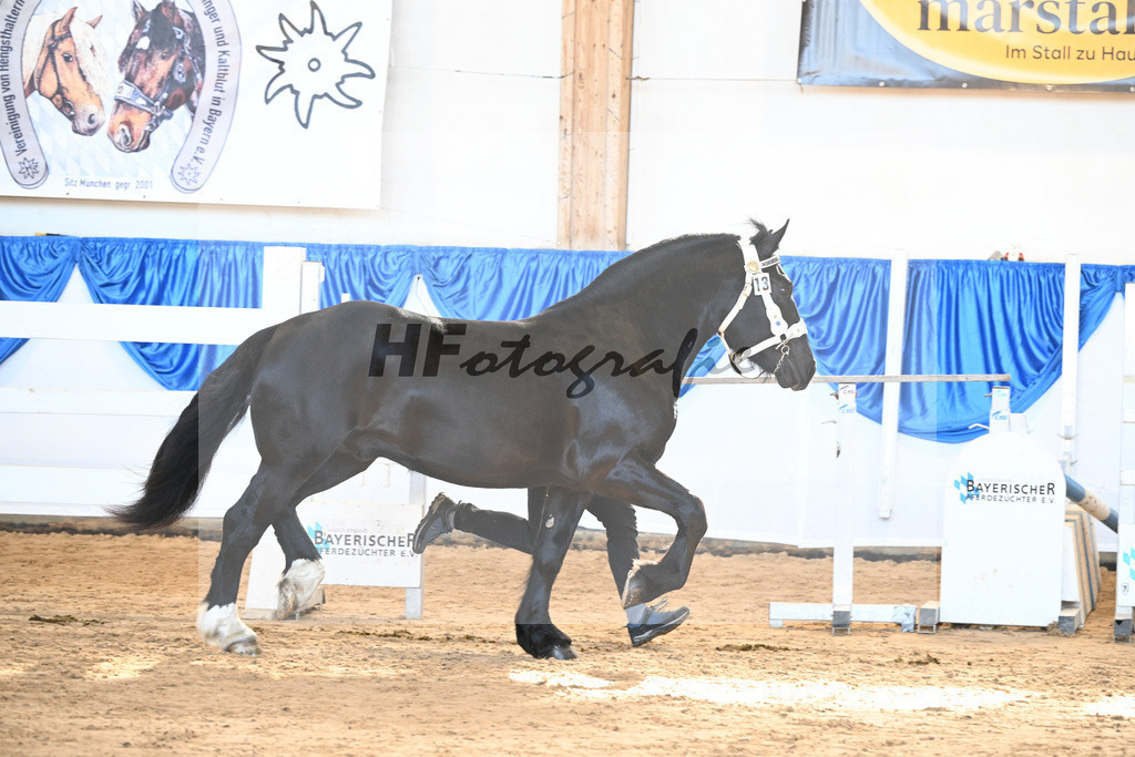 Kat-Nr. 13 v. Vitali_Neumaier_8260209 | hf-fotografie - Realizzato con Pictrs.com