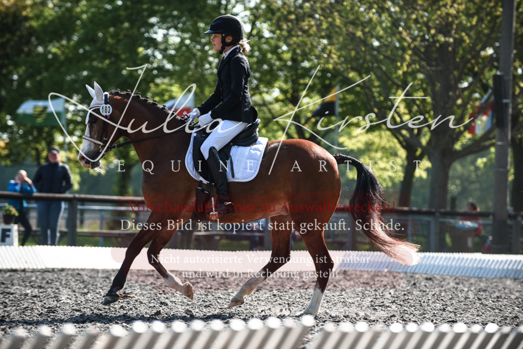 DSC_8725 | Pferde- und Turnierfotografie in Westsachsen. Pferdeportraits, Auftragszeichnungen und intuitive Kunst.