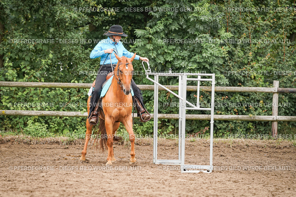 DSC03382 | Pferdegrafie