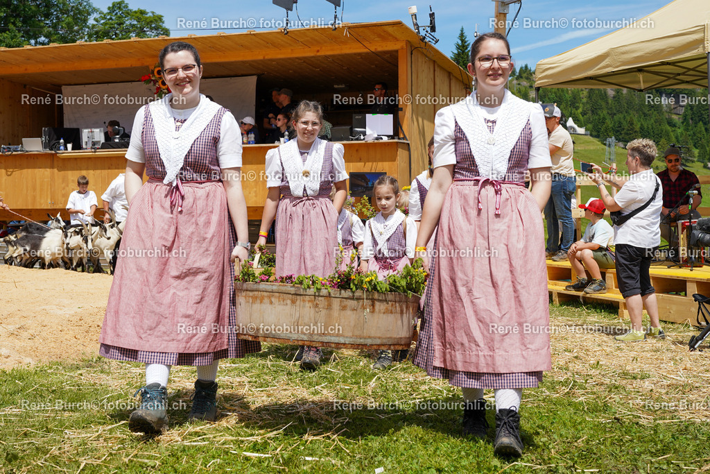 DSC02241 | René Burch leidenschaftlicher Fotograf aus Kerns in Obwalden.  Hier finden sie Sport, Landschaft und Natur Fotografie.
 - Realisiert mit Pictrs.com
