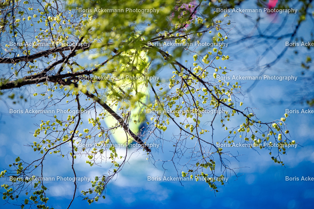 148A8144 | FineArtPrint, Hahnemühle, FeeGalerie, Fee Galerie, Fotokunst, Fotografie, Canonphotography, Bergfoto, Matterhorn, Rimpfischhorn, Allalinhorn, Saas-Fee, Wallis, Valais, Switzerland, Bergfotografie