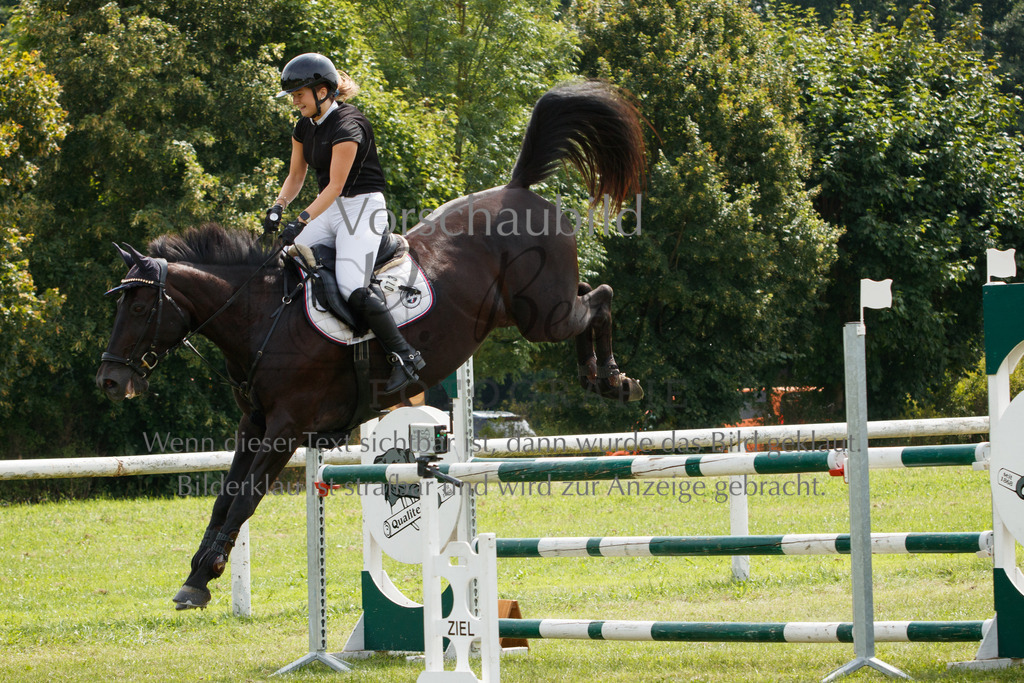 IMG_3233 | P. Berger Fotografie - Realisiert mit Pictrs.com