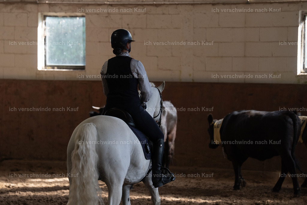 WM_COW_142_SinaFilmArt_IN05052 | working equitationturnier fotograf videograf stoibphotography marixx film working equitation deutschland reitsport turnierfotografie eventfotografie equestrian events