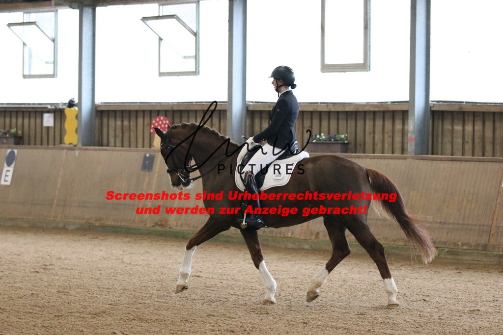 IMG_9248 | lmwpictures - Realisiert mit Pictrs.com