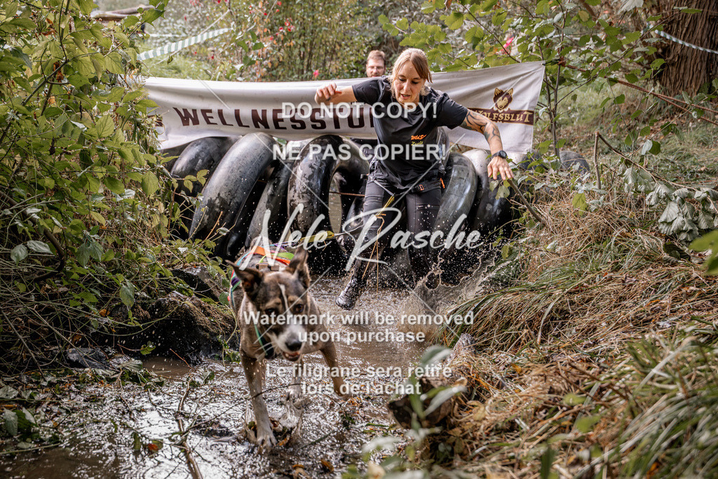 nelerasche_Hunsrück2026_Sa1400-1500_184 | nelerasche