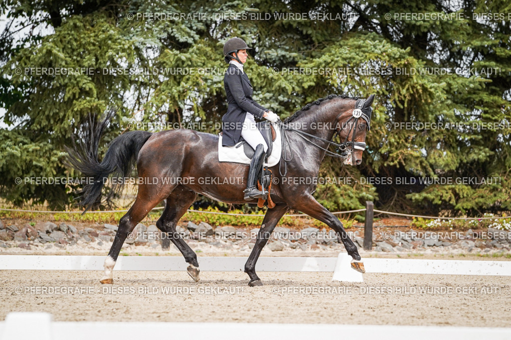 DSC06713 | Pferdegrafie