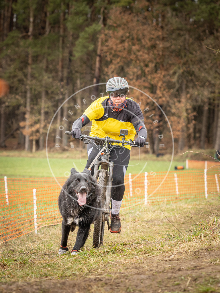 DV3A0908 | Hundefotografie, Tierfotograf, Pfotenfotografie, Fotoshooting Hund, Hunde Portrait, Hundesport, Hundeportraits, Heideshooting, Hunde, Sportfotograf, Hundefotograf, Turnierhundsport, THS,  - Realisiert mit Pictrs.com