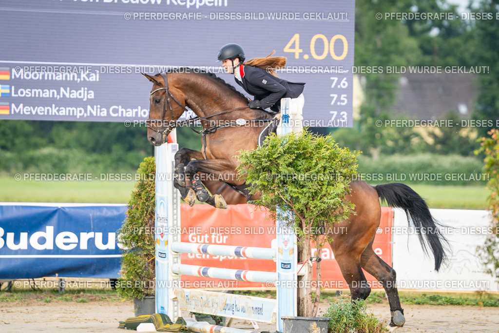 DSC07839 | Pferdegrafie