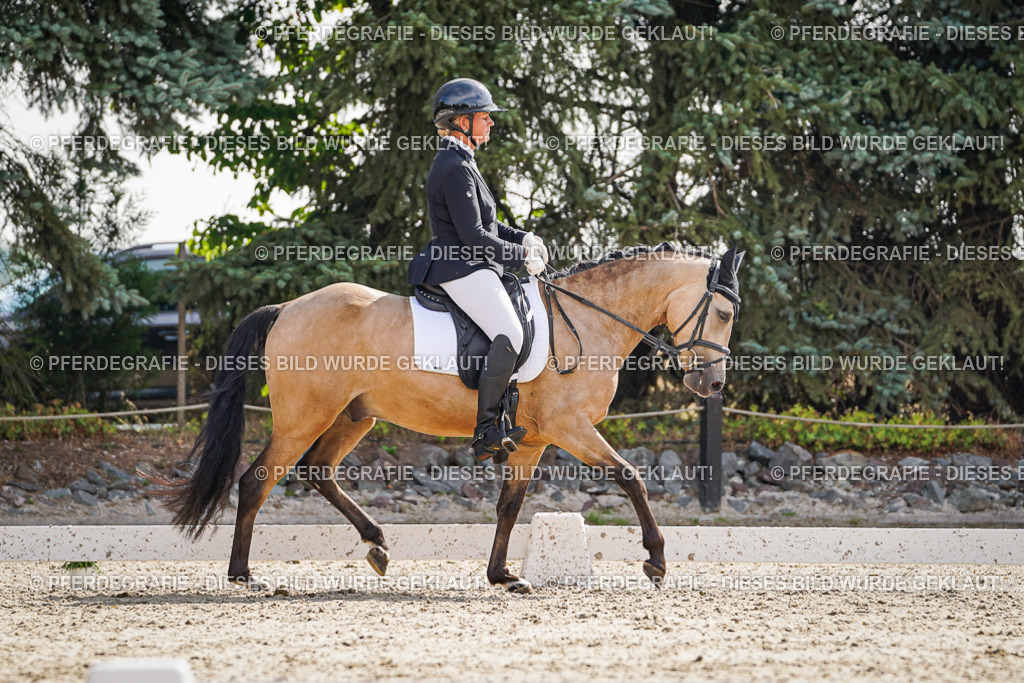 DSC06811 | Pferdegrafie