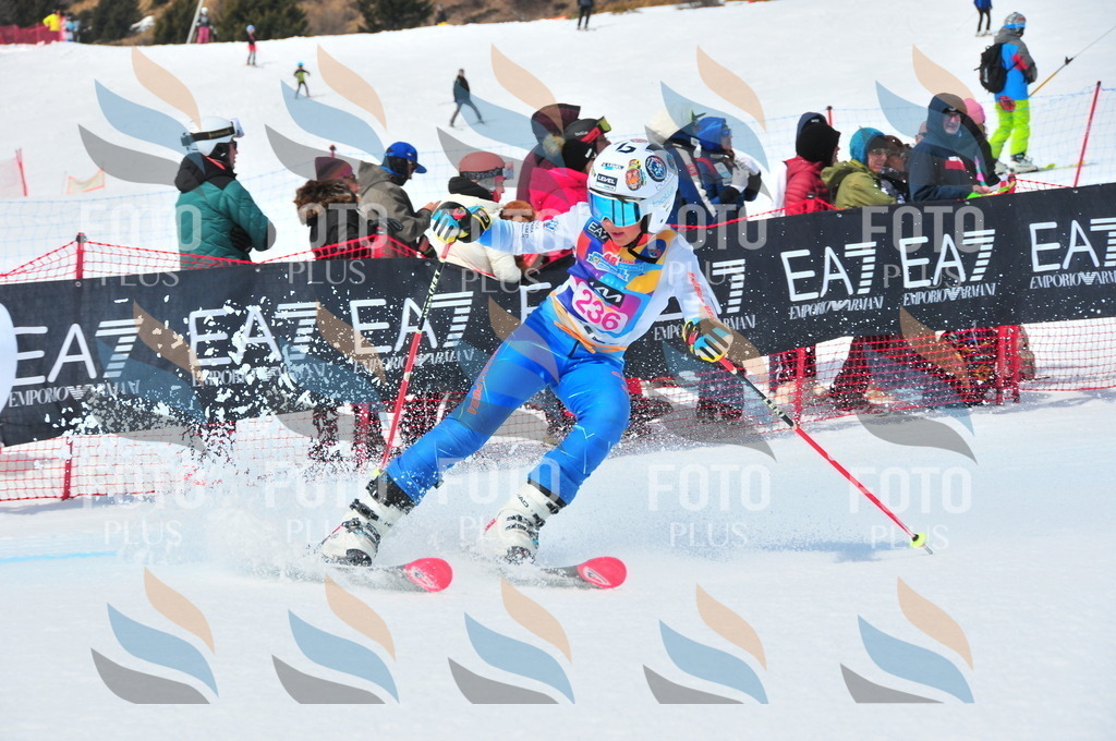 DSC_5946 | holidayphoto