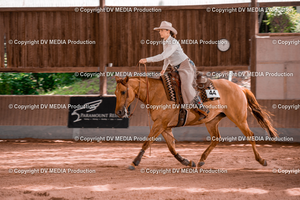 NE100775 | dv-media-shop - Realisiert mit Pictrs.com