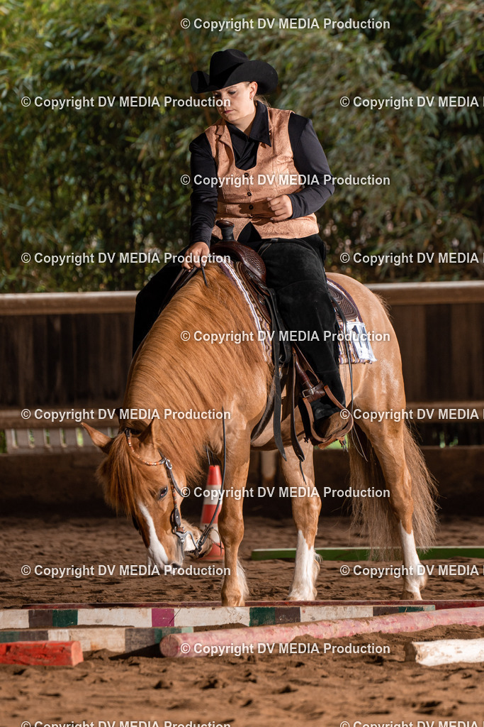 Erbach Tag 3-311 | dv-media-shop - Realisiert mit Pictrs.com