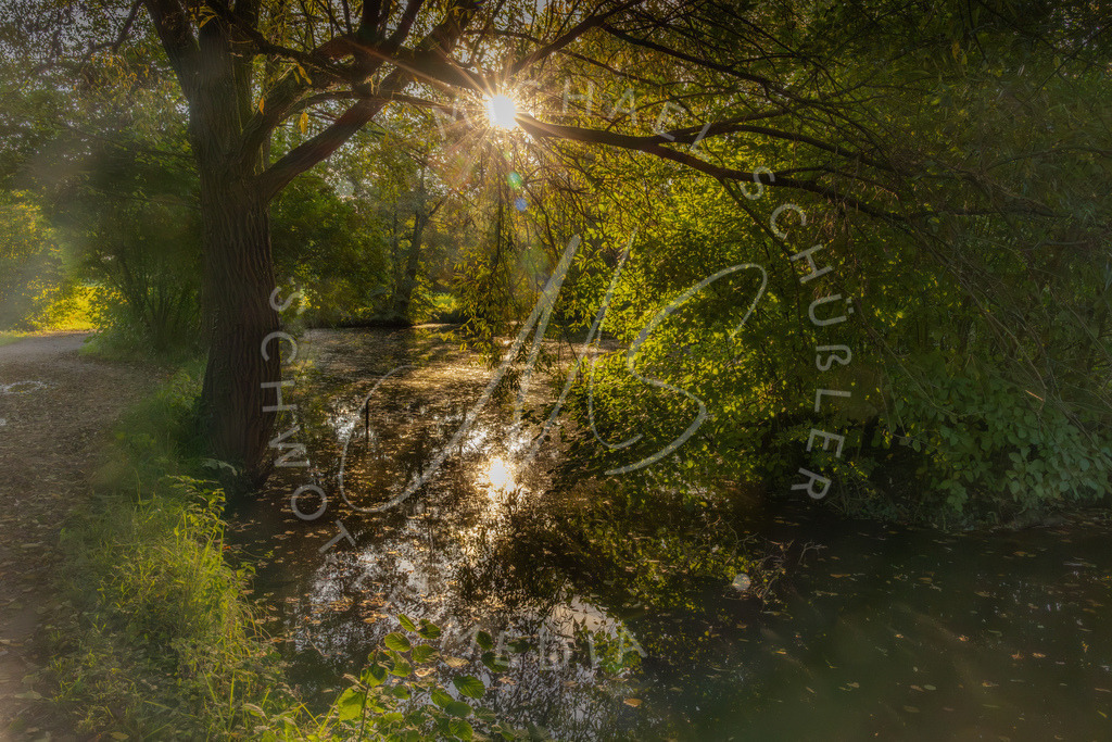 2025-10-02 Ludwigsburg Schloss Monrepos 026 | Schwotte Media - Realisiert mit Pictrs.com