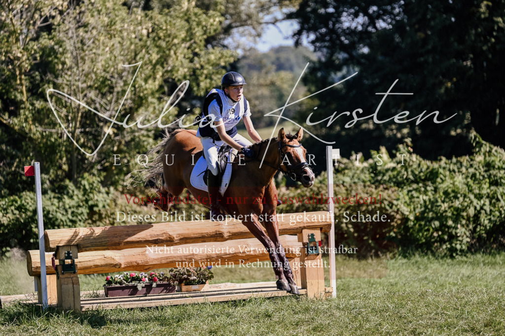 DSC_2108 | Pferde- und Turnierfotografie in Westsachsen. Pferdeportraits, Auftragszeichnungen und intuitive Kunst.