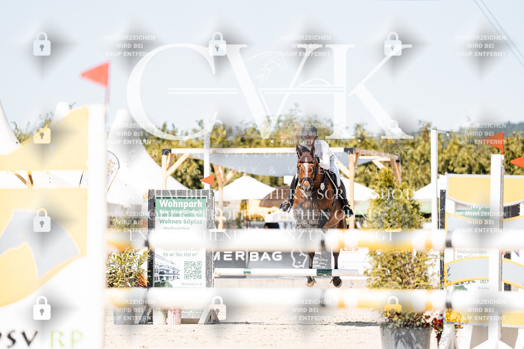 CK909506 | Turnierfotografie Pferdefotografie Trier Rheinland-Pfalz Pferdesport Reitsport Tierfotografie Sportfotografie Pferdevideo Pferdevideografie Equestrianvideography equestrianphotography  - Realisiert mit Pictrs.com