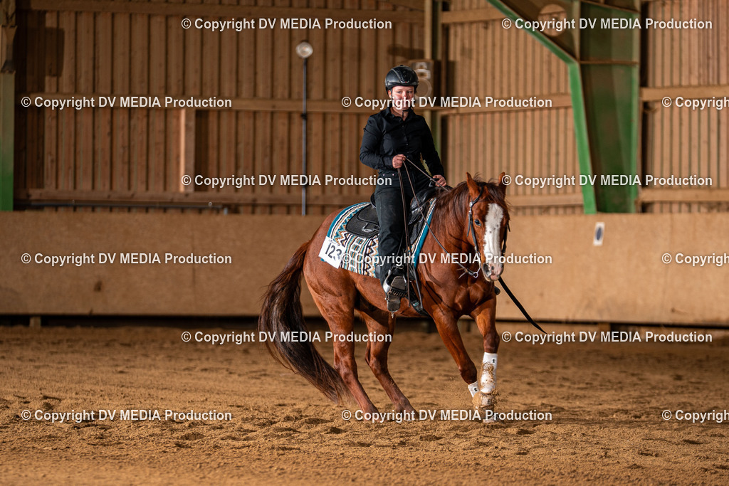 Balingen Tag 4-1267 | dv-media-shop - Realisiert mit Pictrs.com