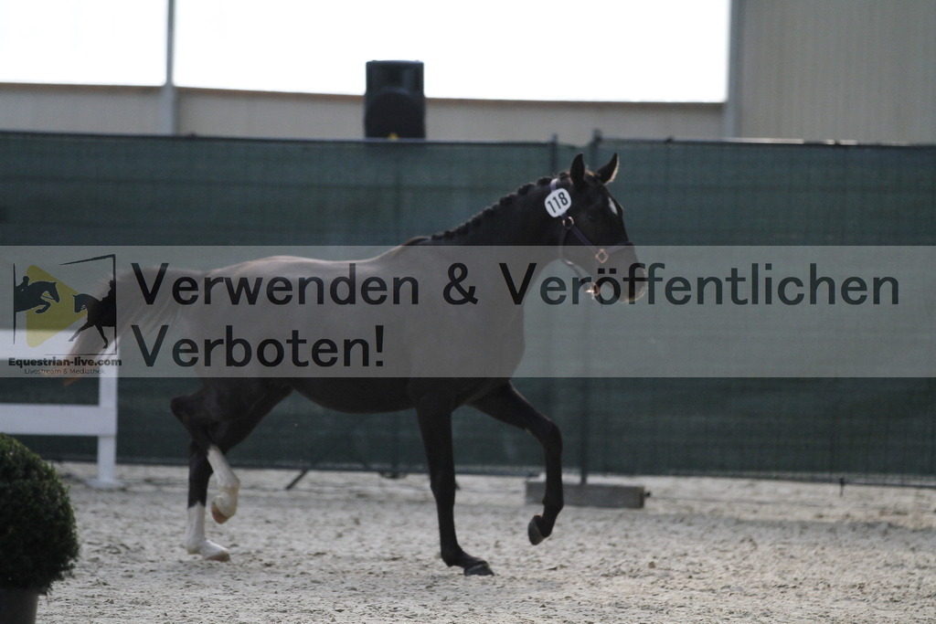 _MG_9367 | equestrian-live-com