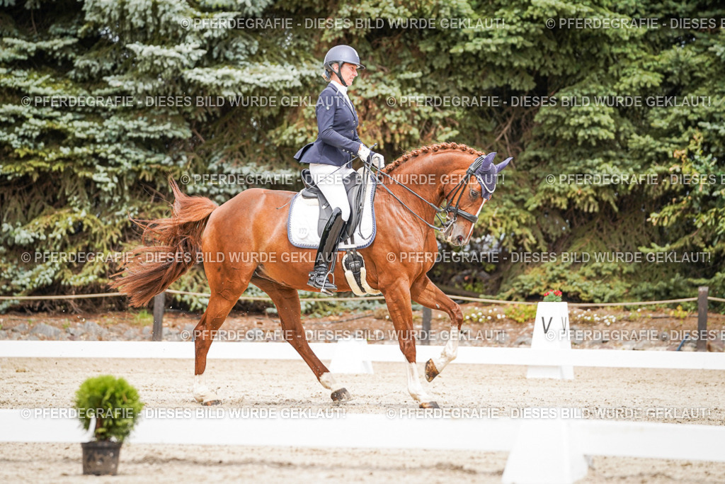 DSC05112 | Pferdegrafie