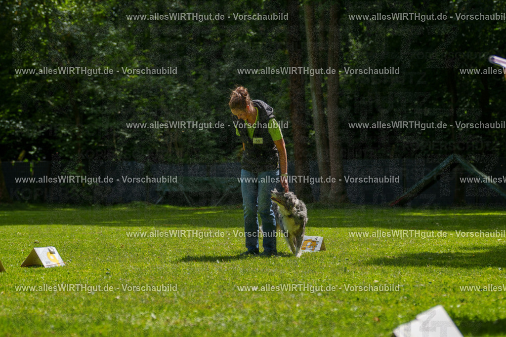 @allesWIRTHgut_Tierfotografie - www.allesWIRTHgut.de - 7R505869 | Professionelle Tierfotografie in Mönchengladbach von Daniel Wirth (allesWIRTHgut). Liebevolle & natürliche Bilder von Hunden & Katzen für unvergessliche Erinnerungen.