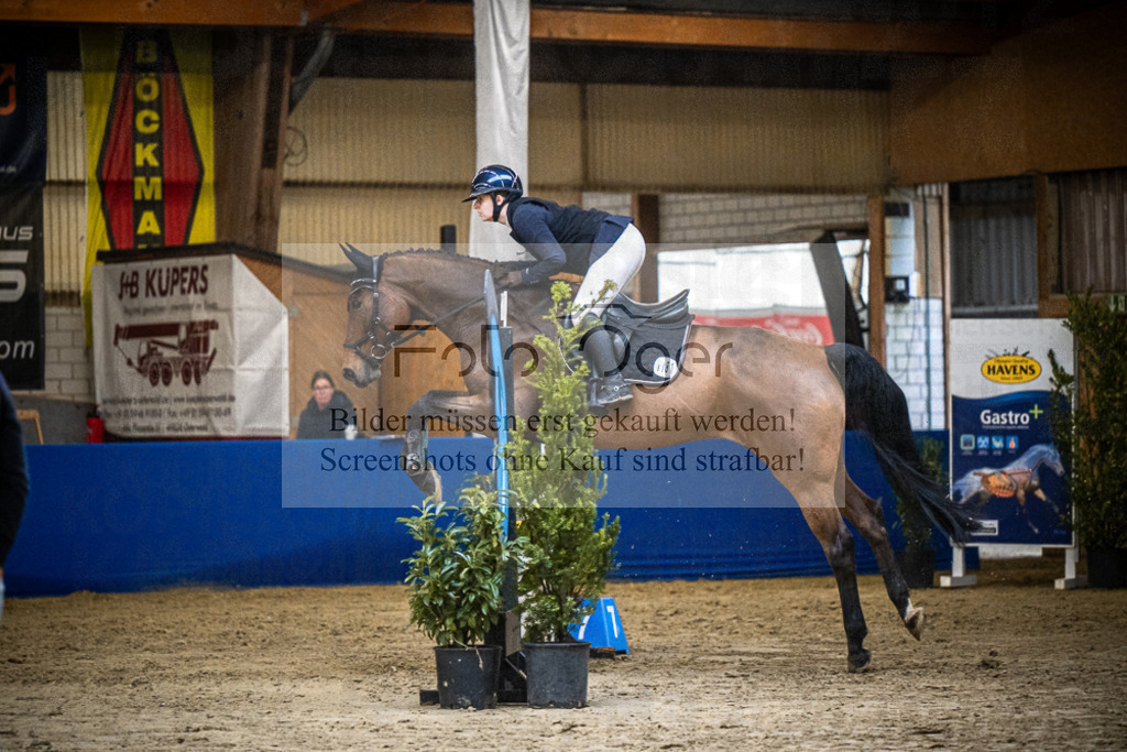 DOS_0891 | Entdecke hochwertige Reitturnierfotos von Foto Oger. Professionell, emotional und authentisch – jetzt Lieblingsmomente im Shop bestellen.Deutschlandweite Turnierfotografie. - Realisiert mit Pictrs.com