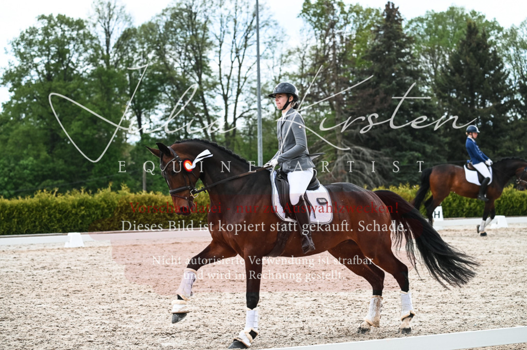 20230513_JK-Röhrsdorf-11-438 | Pferde- und Turnierfotografie in Westsachsen. Pferdeportraits, Auftragszeichnungen und intuitive Kunst.