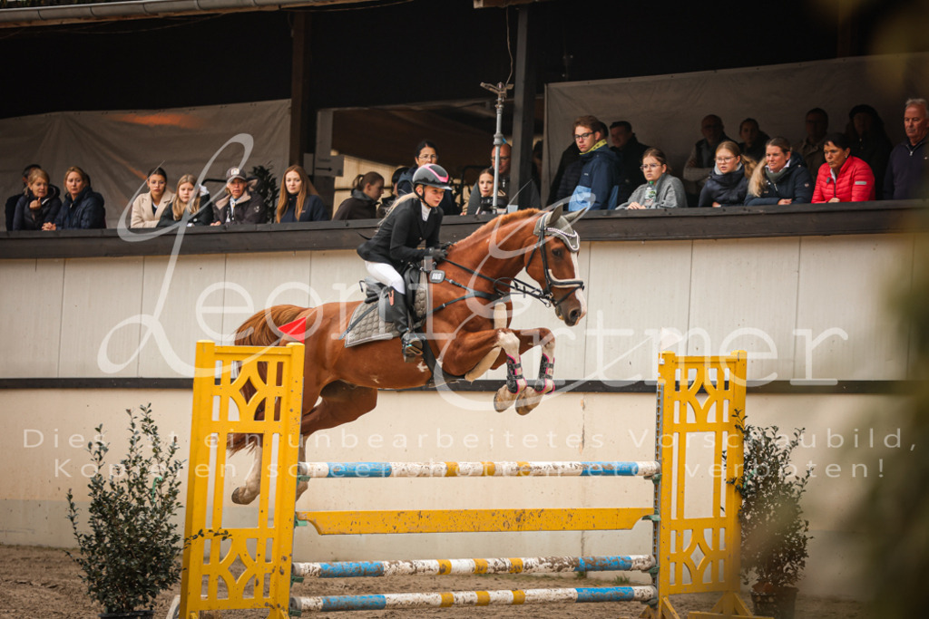 15.SoSpL00446 | Leoni Ertmer Photography - Realisiert mit Pictrs.com