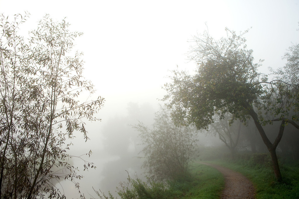 111002-058 | Europa, DEU, Deutschland, Nordrhein Westfalen, NRW, Rheinland, Niederrhein, Wachtendonk, Naturpark Schwalm-Nette, Flussaue ( Niers ), Morgenstimmung, Nebel bei Sonnenaufgang, Kategorien und Themen, Natur, Umwelt, Landschaft, Jahreszeiten, Stimmungen, Landschaftsfotografie, Landschaften, Landschaftsphoto, Landschaftsphotographie, Naturschutz, Naturschutzgebiete, Landschaftsschutz, Biotop, Biotope, Landschaftsschutzgebiete, Landschaftsschutzgebiet, Oekologie, Oekologisch, Typisch, Landschaftstypisch, Landschaftspflege....[Fuer die Nutzung gelten die jeweils gueltigen Allgemeinen Liefer-und Geschaeftsbedingungen. Nutzung nur gegen Verwendungsmeldung und Nachweis. Download der AGB unter http://www.image-box.com oder werden auf Anfrage zugesendet. Freigabe ist vorher erforderlich. Jede Nutzung des Fotos ist honorarpflichtig gemaess derzeit gueltiger MFM Liste - Kontakt, Uwe Schmid-Fotografie, Duisburg, Tel. (+49).2065.677997, archiv@image-box.com, www.image-box.com] - Realisiert mit Pictrs.com