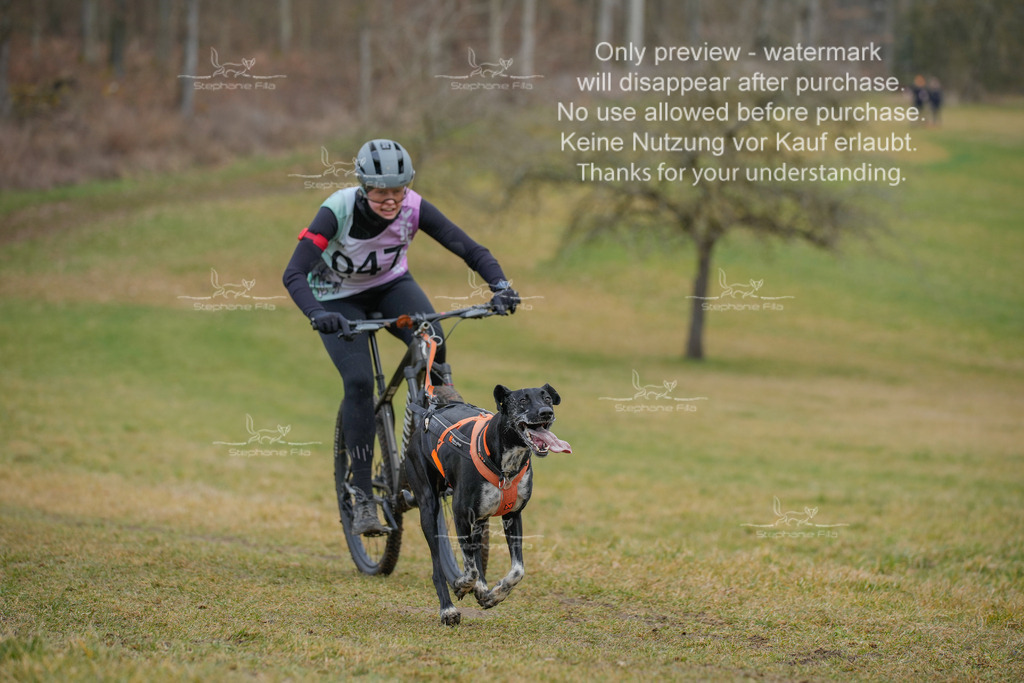 Sa_Bike-103 | stephaniefillaphotographie - Realisiert mit Pictrs.com