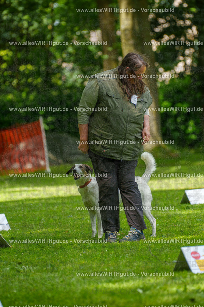 @allesWIRTHgut_Tierfotografie - www.allesWIRTHgut.de - 7R504338 | Professionelle Tierfotografie in Mönchengladbach von Daniel Wirth (allesWIRTHgut). Liebevolle & natürliche Bilder von Hunden & Katzen für unvergessliche Erinnerungen.