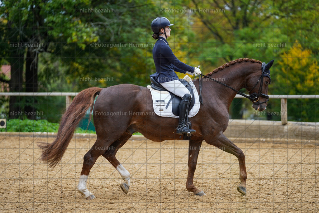 20221008-FAH01810 | Diessen am Ammersee, 2022, Dressur- und Springturnier, Reitsportbilder, Turnierfotografen Bayern, Pferdefotografen, Fotoagentur Herrmann, Turnierbilder