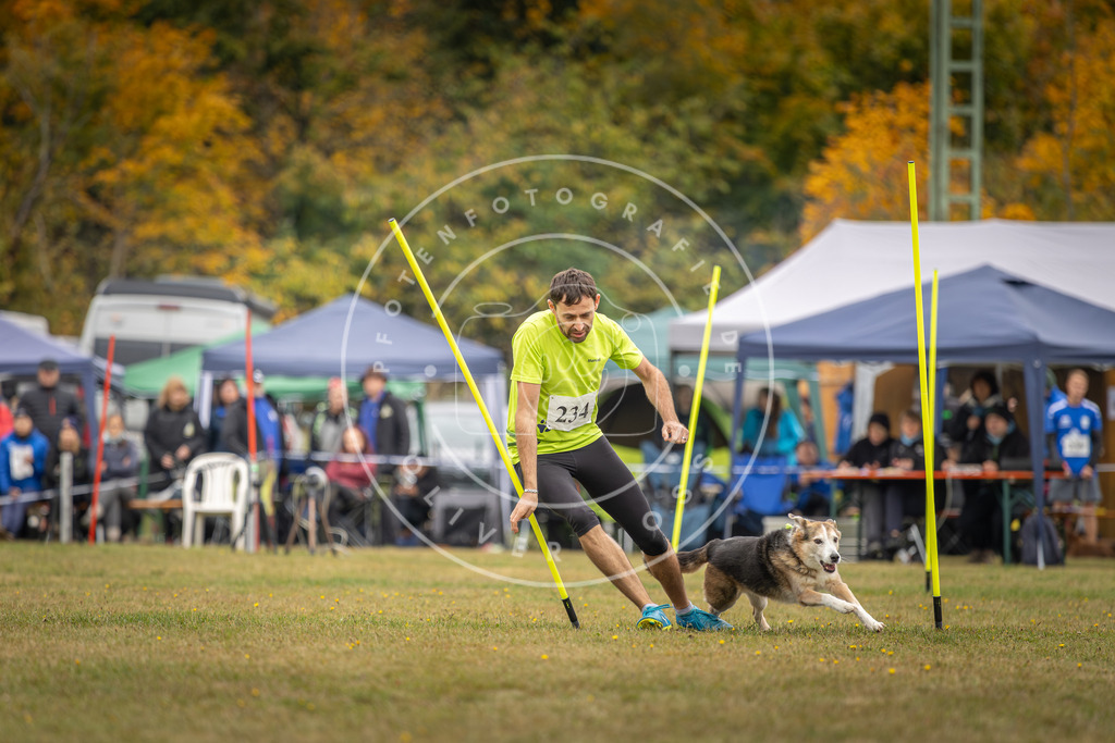 Pfotenfotografie_DV3A5165 | Hundefotografie, Tierfotograf, Pfotenfotografie, Fotoshooting Hund, Hunde Portrait, Hundesport, Hundeportraits, Heideshooting, Hunde, Sportfotograf, Hundefotograf, Turnierhundsport, THS,  - Realisiert mit Pictrs.com