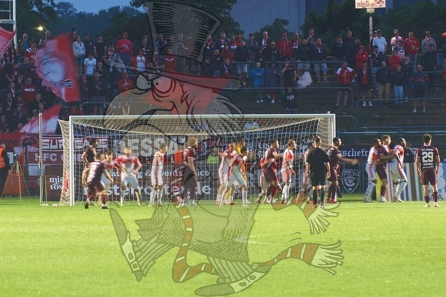 BFC Dynamo vs. Hallescher FC 135 | mythos-online-redaktion