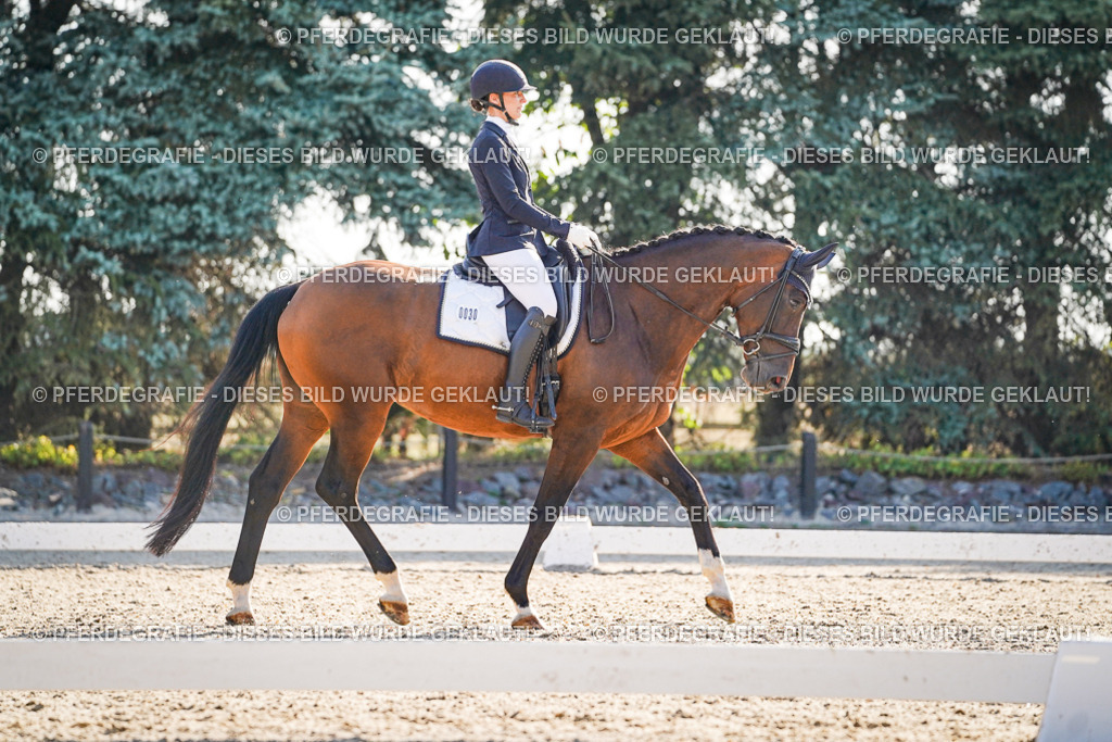 DSC08811 | Pferdegrafie