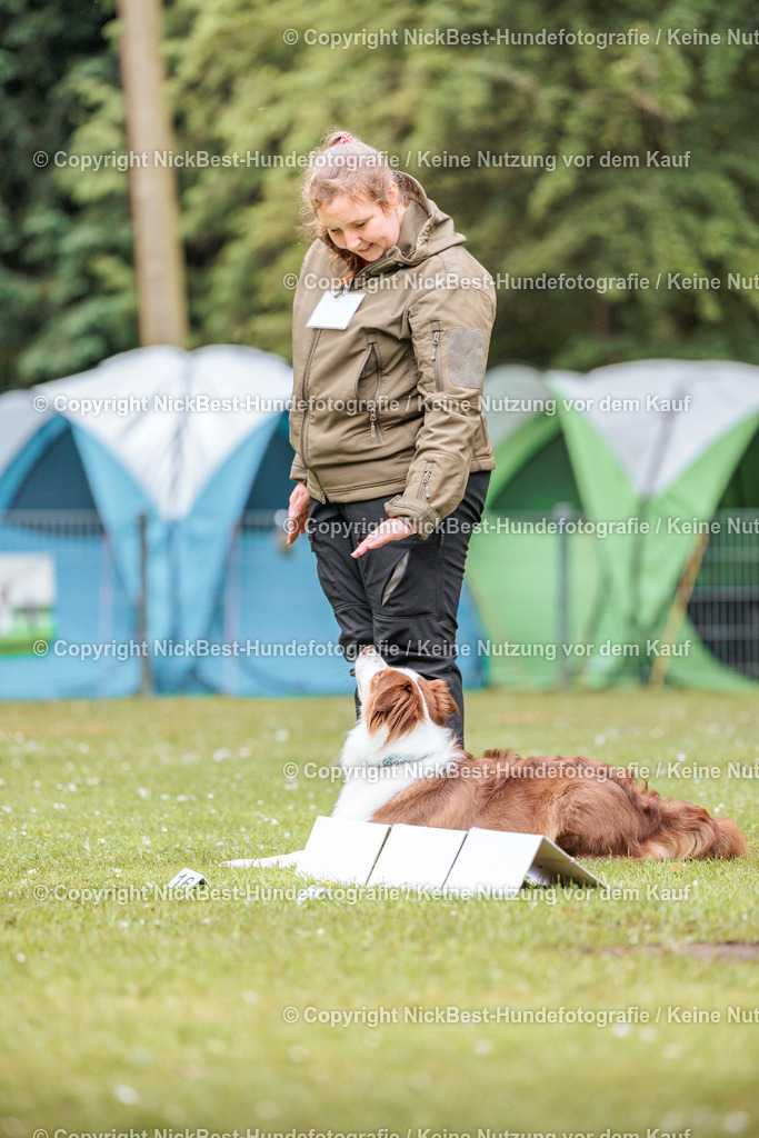 RO-Blumenthal-2026-Nickbest-Hundefotografie-1239 | Dein Hund! Dein Moment! Deine Erinnerungen! Hundefotografie in Bremen Blumenthal. Ich fange die besonderen Momente deines Vierbeiners ein – ob Indoor mit Blitzanlage oder in der freien Natur. Sicher dir dein Moment und dein Termin für eure Erinnerungen.